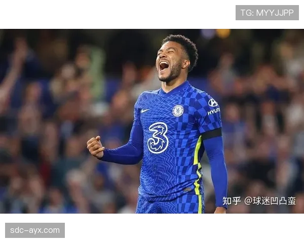 恩佐从新星到切尔西中场核心的角色跃迁分析