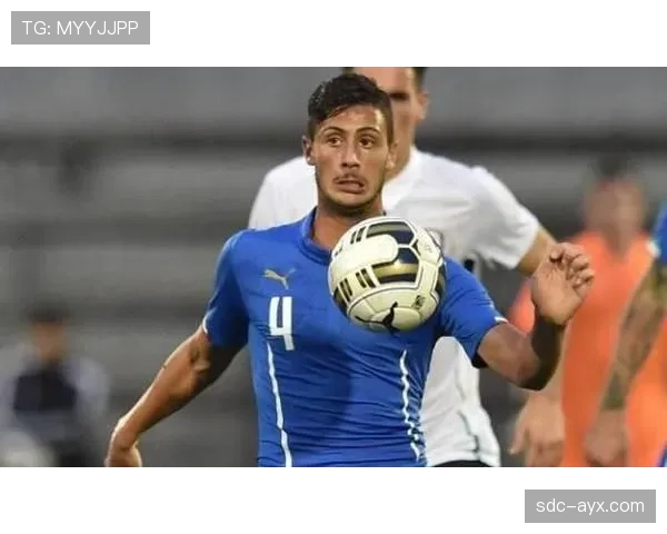 巴尔科拉战术价值如何体现与体系适配分析 巴尔科拉战术价值如何体现与体系适配分析