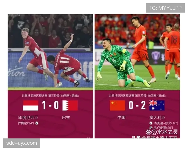 世界杯B组四队晋级机会对比